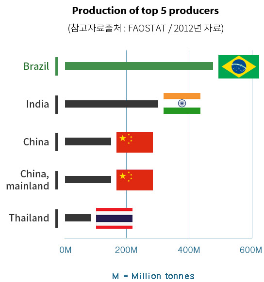 사탕수수 생산국가 비교표